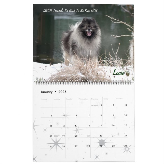 Trumpet Keeshond Calendar (Jan 2026)
