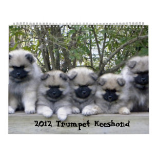 Trumpet Keeshond Calendar 2012