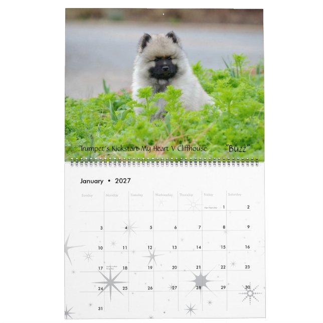Trumpet Keeshond Calendar 2013-updated end of Dec (Jan 2027)