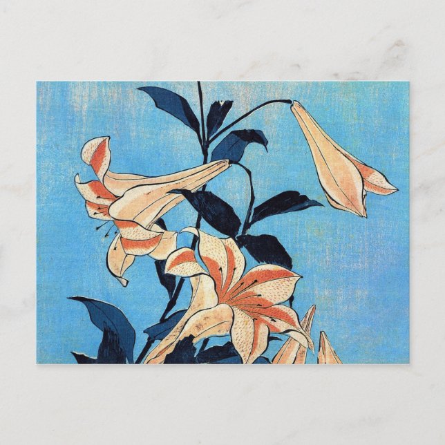 Trumpet Lilies Postcard (Front)