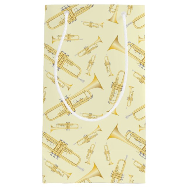 Trumpet Music Teacher Small Gift Bag (Front)