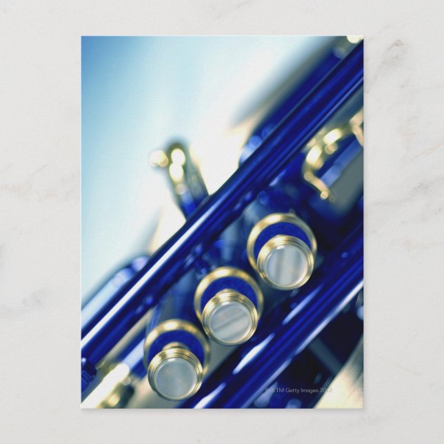 Trumpet Postcard (Front)