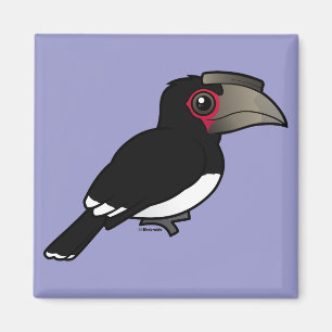 Trumpeter Hornbill Magnet