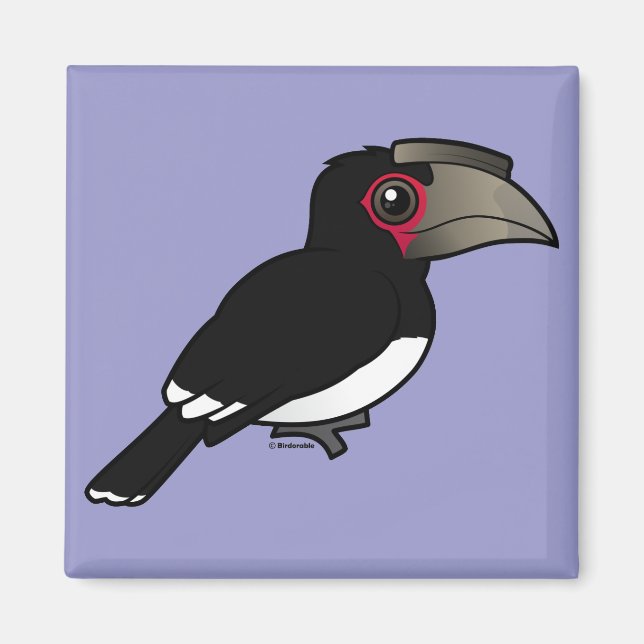 Trumpeter Hornbill Magnet (Front)