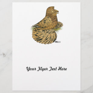 Trumpeter Pigeon Almond Flyer