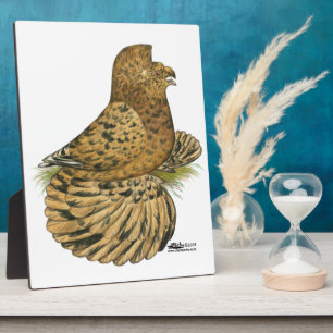 Trumpeter Pigeon Almond Plaque