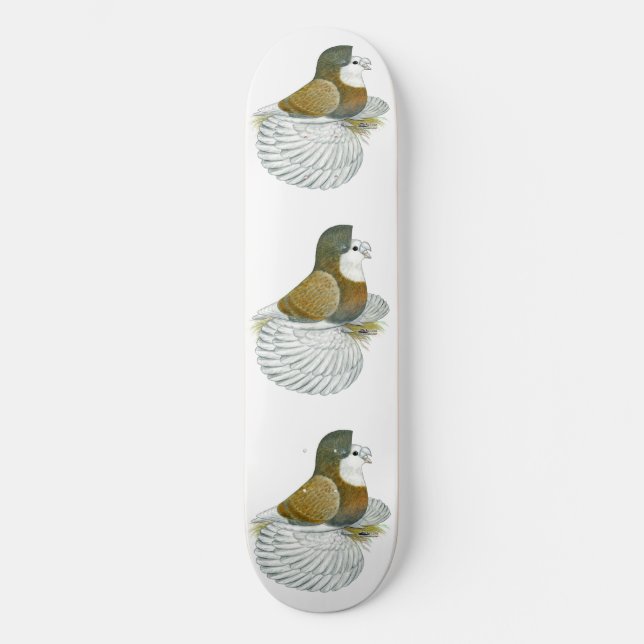 Trumpeter Pigeon AOC Baldhead Skateboard (Front)