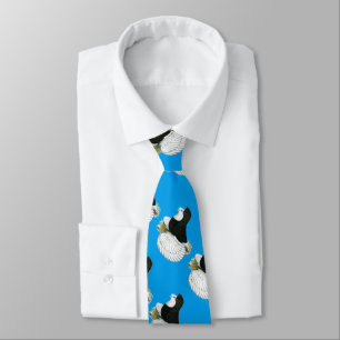 Trumpeter Pigeon Black Baldhead Tie