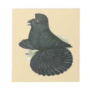 Trumpeter Pigeon Black Notepad