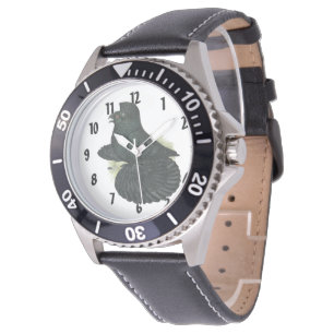 Trumpeter Pigeon Black Watch