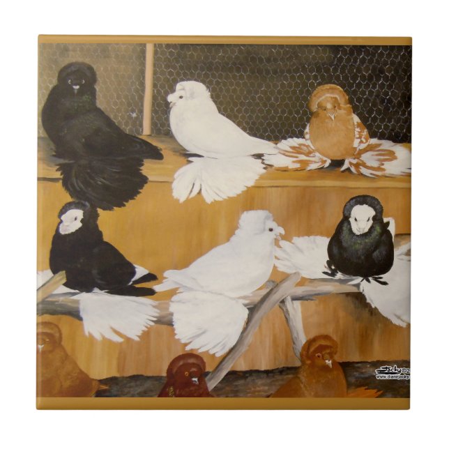 Trumpeter Pigeon Champions Ceramic Tile (Front)