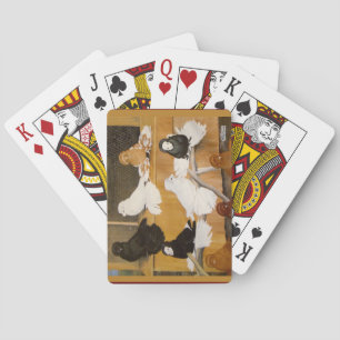 Trumpeter Pigeon Champions Playing Cards