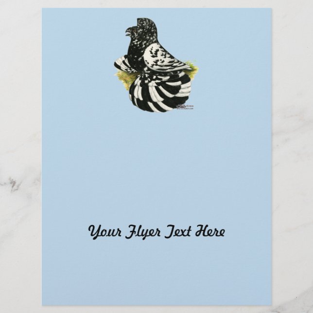 Trumpeter Pigeon Dark Splash Flyer (Front)