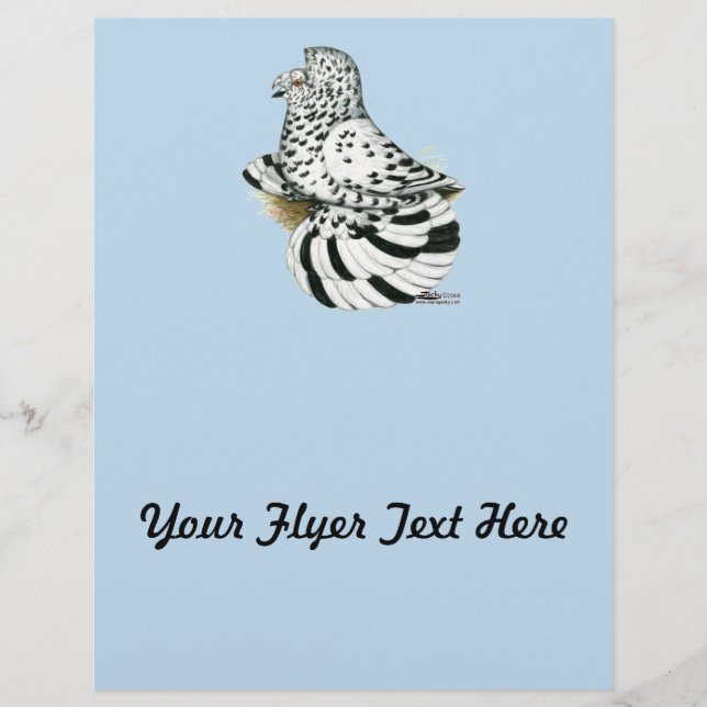 Trumpeter Pigeon Light Splash (Front)