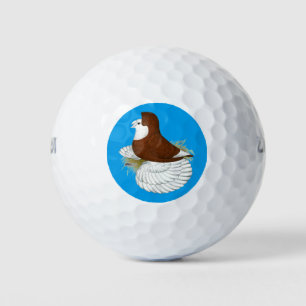 Trumpeter Pigeon Red Baldhead Golf Balls