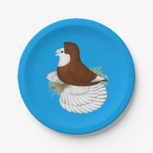 Trumpeter Pigeon Red Baldhead Paper Plate
