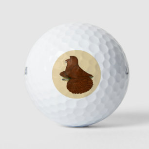 Trumpeter Pigeon Red Golf Balls
