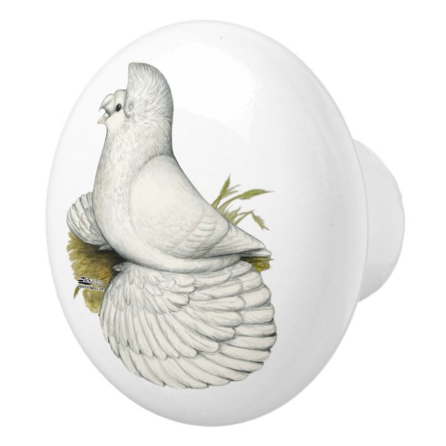 Trumpeter Pigeon White Ceramic Knob (Right)