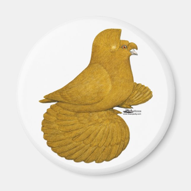 Trumpeter Pigeon Yellow Magnet (Front)