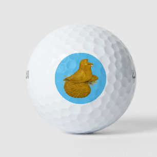 Trumpeter Pigeon Yellow Self Golf Balls