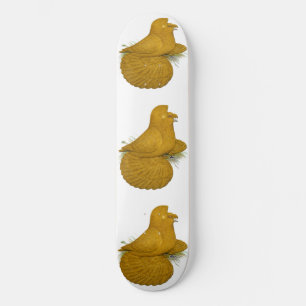 Trumpeter Pigeon Yellow Self Skateboard