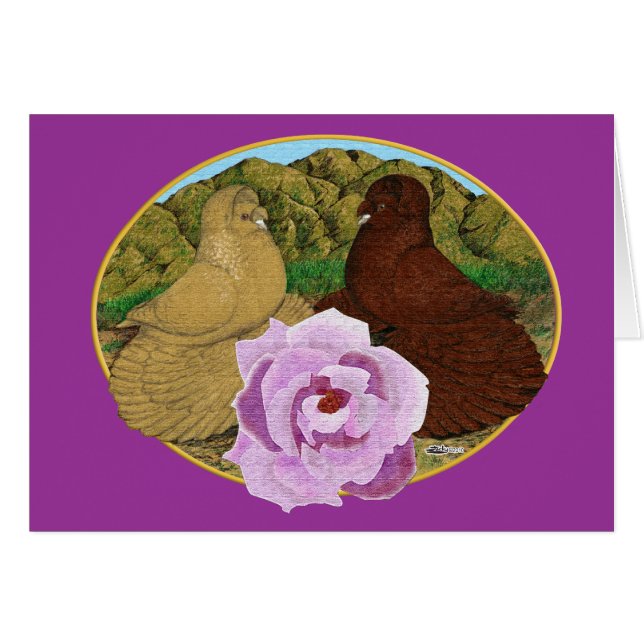 Trumpeter Pigeons and Rose (Front Horizontal)