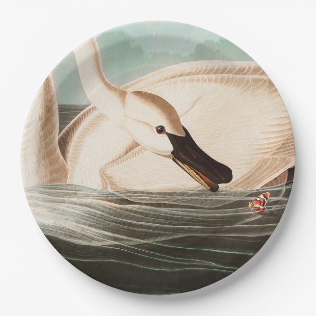 Trumpeter Swan and Butterfly Paper Plate (Front)