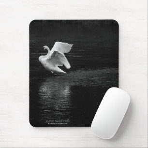 Trumpeter Swan b/w Mouse Pad