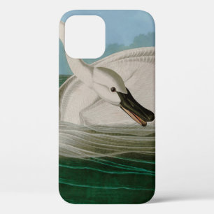 Trumpeter Swan Birds of America Audubon Print iPhone 12 Case