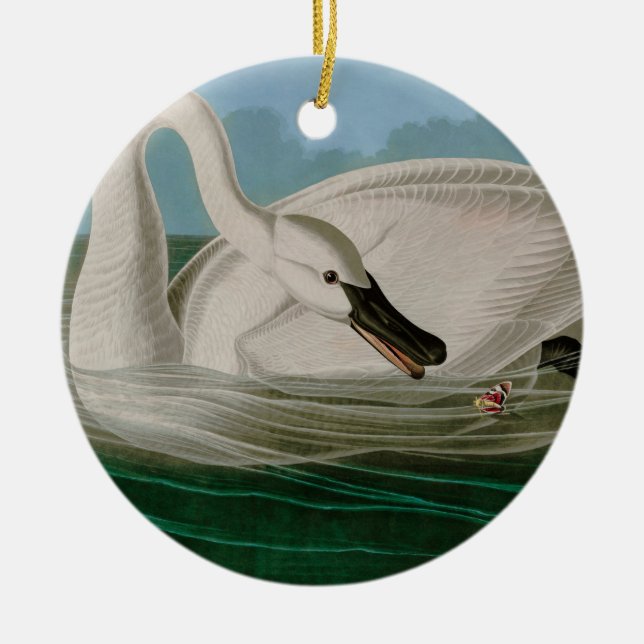 Trumpeter Swan Birds of America Audubon Print Ceramic Ornament (Front)