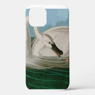 Trumpeter Swan Birds of America Audubon Print iPhone 12 Case