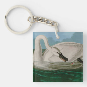 Trumpeter Swan Birds of America Audubon Print Key Ring