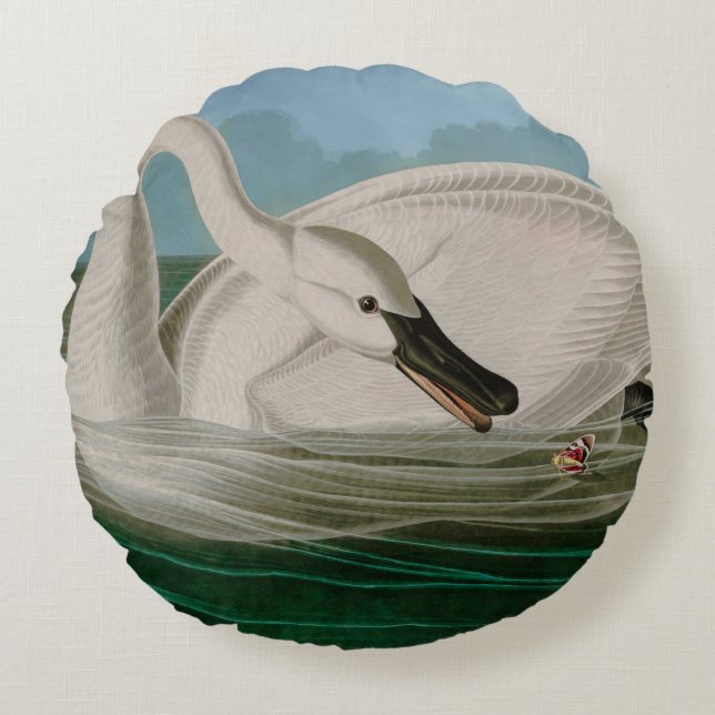 Trumpeter Swan Birds of America Audubon Print Round Cushion (Front)