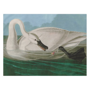 Trumpeter Swan Birds of America Audubon Print Tablecloth