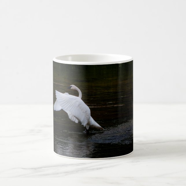 Trumpeter Swan Coffee Mug (Center)