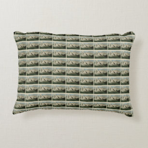 Trumpeter Swan - from Audubon's Birds of America Decorative Cushion