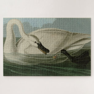 Trumpeter Swan - from Audubon's Birds of America Jigsaw Puzzle
