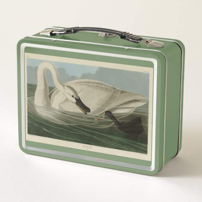 Trumpeter Swan - from Audubon's Birds of America Metal Lunch Box (Back)