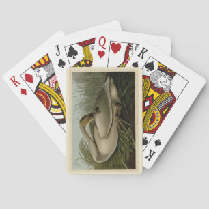 Trumpeter Swan - from Audubon's Birds of America Playing Cards