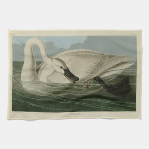 Trumpeter Swan - from Audubon's Birds of America Tea Towel
