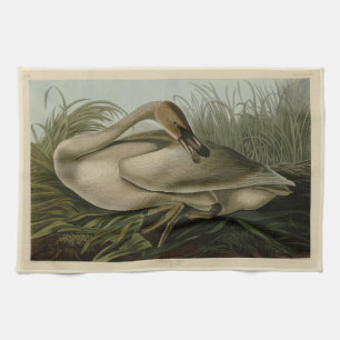 Trumpeter Swan - from Audubon's Birds of America Tea Towel