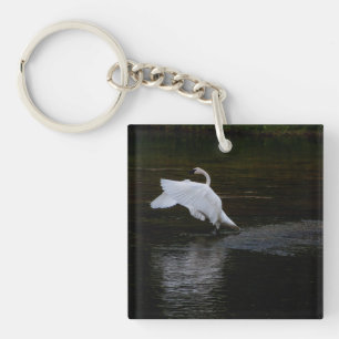 Trumpeter Swan Key Ring