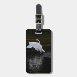 Trumpeter Swan Luggage Tag