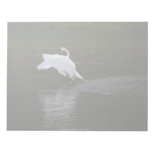 Trumpeter Swan Notepad