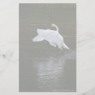 Trumpeter Swan Stationery