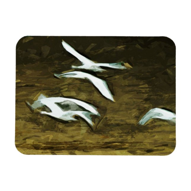 Trumpeter Swans in Flight Abstract Impressionism Magnet (Horizontal)