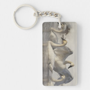 Trumpeter Swans in the Madison River in winter Key Ring