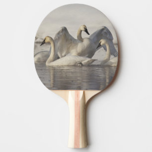 Trumpeter Swans in the Madison River in winter Ping Pong Paddle