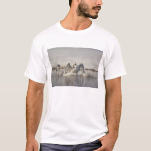Trumpeter Swans in the Madison River in winter T-Shirt