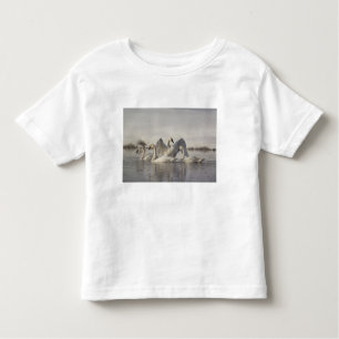 Trumpeter Swans in the Madison River in winter Toddler T-Shirt